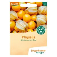Physalis Schönbrunner Gold, Tüten