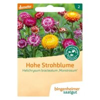 Strohblume Hohe, Tüten