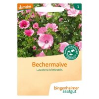 Bechermalve, Tüten