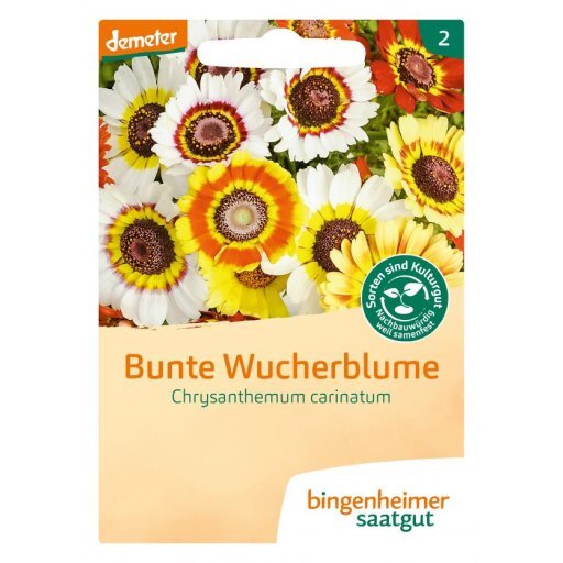 Bunte Wucherblume, Tüten