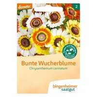 Bunte Wucherblume, Tüten