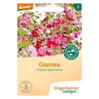 Cosmea, Tüten