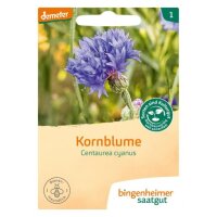 Kornblume, Tüten