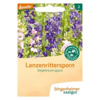 Lanzenrittersporn, Tüten