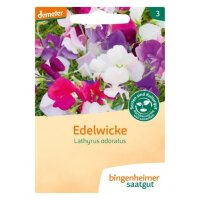Edelwicke, Tüten
