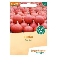Kürbis Hokkaido Red Kuri, Tüten