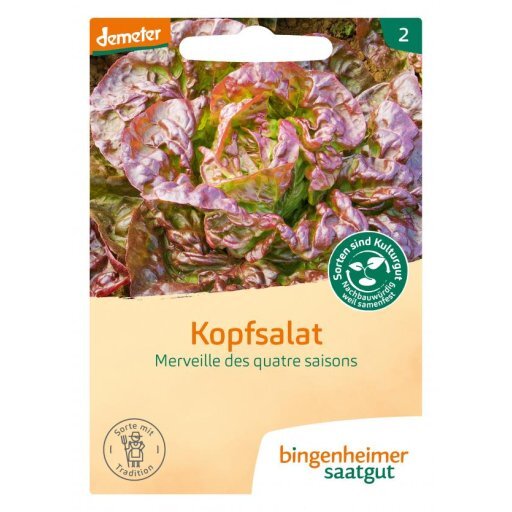 Kopfsalat rot Merveille de 4 Saisons, Tüten
