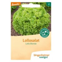 Pflücksalat Lollo Bionda, Tüten