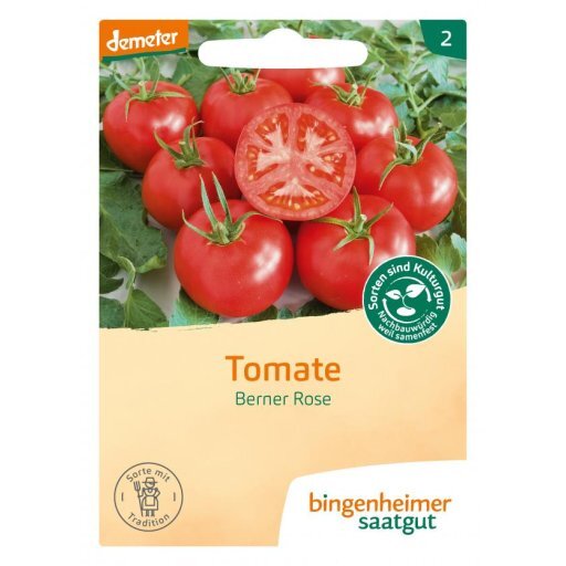 Tomate Berner Rose - Fleischtomate, Tüten