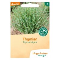 Thymian, Tüten