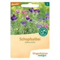 Schopfsalbei, Tüten