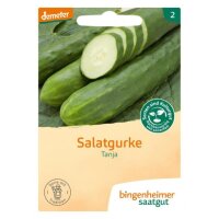 Freilandgurke Tanja, Tüten