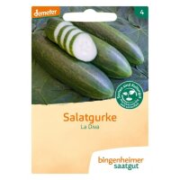 Snackgurke La Diva, Tüten