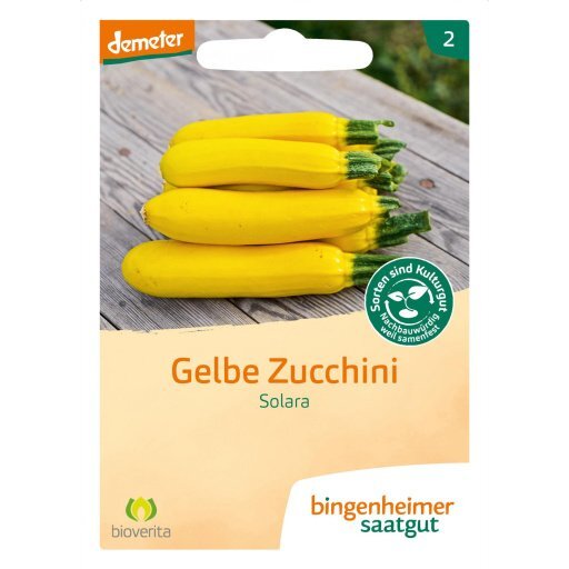 Zucchini gelb Solara, Tüten
