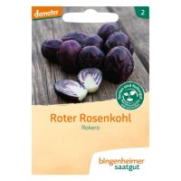 Rosenkohl rot Rokero, Tüten