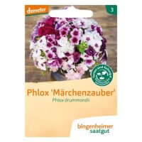 Phlox Märchenzauber Phlox drummondii, Tüten