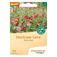 Stockrose Lene Alcea rosea, Tüten