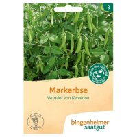 Markerbse Wunder von Kelvedon, Tüten