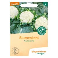 Blumenkohl Neckarperle, Tüten
