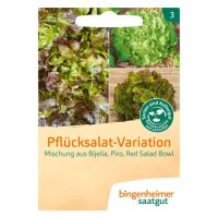 Pflücksalatmischung Pflücksalat Variationen,...