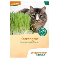 L! Katzengras Sommergerste Pirona, Tüten