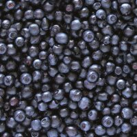 L! TK-Heidelbeeren, 2.5kg